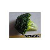 PU Vegetable thumbnail-1