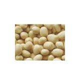 Blanched Peanut Kernel thumbnail-1