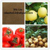 52% Amino Acid Fertilizer Powder/Amino Acid/Amino Acid Agriculture/Amino Acid Powder/Organic Fertilizer thumbnail-5