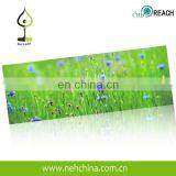 Персонально распечатанная экологически чистая антискользящая рулонка для йоги из TPE, соответствующая стандартам REACH thumbnail-2