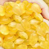 Honeylocust Fruit Extract Powder thumbnail-1