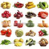 Industrial Automatic 100kg 500kg Vegetable Fruit Washing Machine thumbnail-2