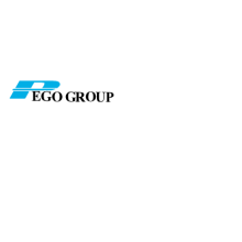Pego Electronics (Yi Chun) Company Limited