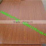 Cheap Raw Particle Board /melamine Particle Board 1220*2440