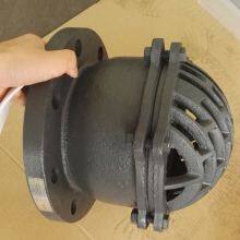 BS PN16 DN300 Cast Iron Foot Valve With Stainless Steel Screen Bottom Valve for Pipe System thumbnail-5