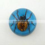 2016 New Business Particularly Paperweight With Real Insect Spide thumbnail-3