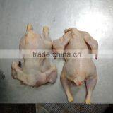Whole Frozen Chicken thumbnail-2