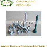 OEM Professional Precision Self-tapping Screw