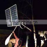 Golden Manufacturer Wind Solar Hybrid Street Light and Solar Wind Led Street Lights thumbnail-5