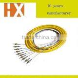 FC Fan-out Pigtail With 10 Core thumbnail-1