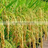 High Viscosity Super Absorbent Polymer Thickener Chemicals for Agriculture thumbnail-6