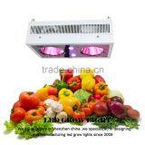 Cheap Full Spectrum COB LED Grow Light for Hydroponics