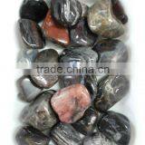 Natural Pertrified Wood Stone