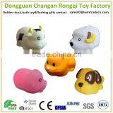 Floating Farm Animal Squirt Bath Toy Dog/cat/sheep/pig Toys thumbnail-1