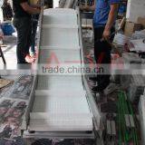 Plastic Incline Belt Conveyors for Different Industries thumbnail-3