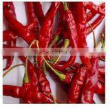 High Quality Dried Red Chilli Powder Price From India thumbnail-1
