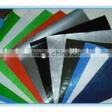 Tarpaulin pe Plastic Sheet With All Specifications,hot Saled Economic Tarpaulin