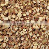 High Germinaiton Rate Licorice Root Seed Glycyrrhiza Uralensis Seeds For Cultivation thumbnail-3