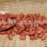 New Crops Red Skin Peanut Kernel thumbnail-3