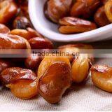 Export Delicious Fried and Salted Broad Beans thumbnail-3