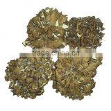 GMP Kosher Natural Maitake Mushroom Extract Polysaccharide thumbnail-2