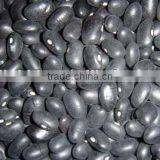China Small Black Kidney Bean thumbnail-1