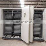 20000 Eggs Automatic Egg Incubator Poultry Egg Incubator for Sale