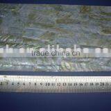 River Shell Paper With Dapple --stick Back (OPTION)