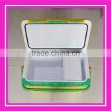 2014 New Design Fish Plastic Box With Cooler Box Function