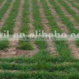 Farm Tractor Use Universal Planter, Wheater Seeder,barley Seeder Oats Seeder Sorghum Seeder Millet Seeder With Fertilizer thumbnail-6