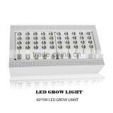 Shenzhen Two Switches With 5 W Cob Chip X300 Led Grow Light thumbnail-3