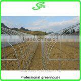 Plastic Film Cover Steel Frame Used Greenhouse thumbnail-4