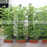 Best Price Wholesale Artificial Bamboo Poles thumbnail-1