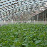 Ground Cover Fabric Grass Weed Control Mat thumbnail-4