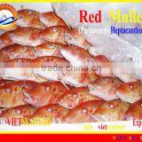 FROZEN WHOLE ROUND RED MULLET thumbnail-1