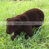 Moss Grizzly Bear Home Deco thumbnail-1