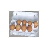 egg tray-egg packaging