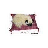 Sleeping Pet Motor Crafts thumbnail-1
