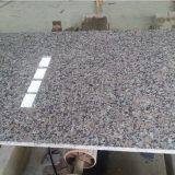 Xili Pink Granite Floor Tiles Kitchen Granite Countertops thumbnail-4
