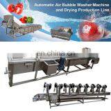 Fruit Cleaner Persimmon Papaya Carrot Washing Machine Restaurant Vegetable Washing Machine thumbnail-7