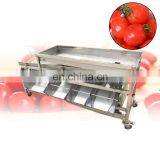 Cherry Tomato Washing Grading Machine/Fruit and Vegetable Processing Machine/strawberry Sorting Machine thumbnail-6