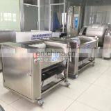 Multifunction Fruit&Vegetable Potato Hair Roller Cleaning Washing Machine,Ternip/Lotus Root Peeler Washer thumbnail-3