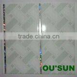 2012 Haining The Newest PVC Roof Panel