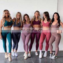 Wholesale Sport Suit Women, Fitness Clothing Sport Wear Yoga Set Gym Sportswear Running Leggings Women Set/ thumbnail-1