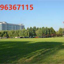 Shandong Qingneng Steam Turbine CO.,Ltd. company overview - view 1 thumbnail