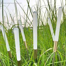 Reed Outdoor Waterproof Garden and Courtyard Decorative Landscape Ground-inserting Lamp, Low Voltage 12v 1w thumbnail-3