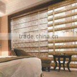 Zebra Blind / Zebra Blind Fabric / Window Blind