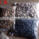 high degree polished Pebble Stones with discount price