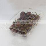 fruit berry box/plastic fruit box