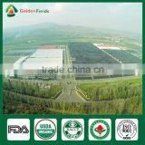 Shiitake Mushroom Production,Shiitake Mushroom Farm,Shiitake Spawn thumbnail-1